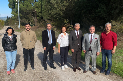 Bursa tarımına akademik bakış