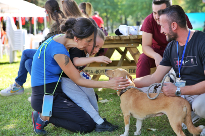 Bursa Büyükşehir patili dostların yanında