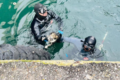 İzmir'de iskele altında sıkışan kediyi itfaiye kurtardı