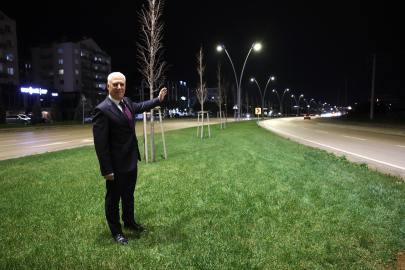 Çalı Yolu Büyükşehir ile aydınlandı