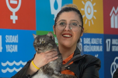 Can dostlara sıcak yuva