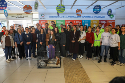 Can dostlara sıcak yuva