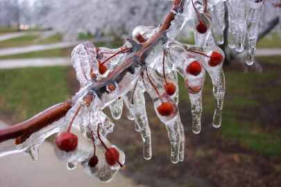 Uzmanlar uyarıyor: Meyve bahçelerinde don riski için mikro-sprinkler çözümleri öne çıkıyor