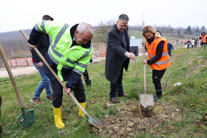 Bursa Nilüfer'de atıl arazi Umut Ormanı’na dönüşüyor