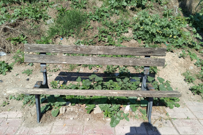 Güzel Mudanya’dan Çirkin Manzaralar: Vatandaşlar Çözüm Bekliyor