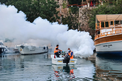 Antalya’da sahil bandında vektörle mücadele